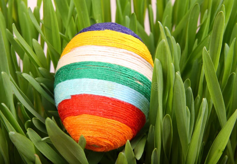 Color Easter egg on green grass. Color Easter egg on green grass