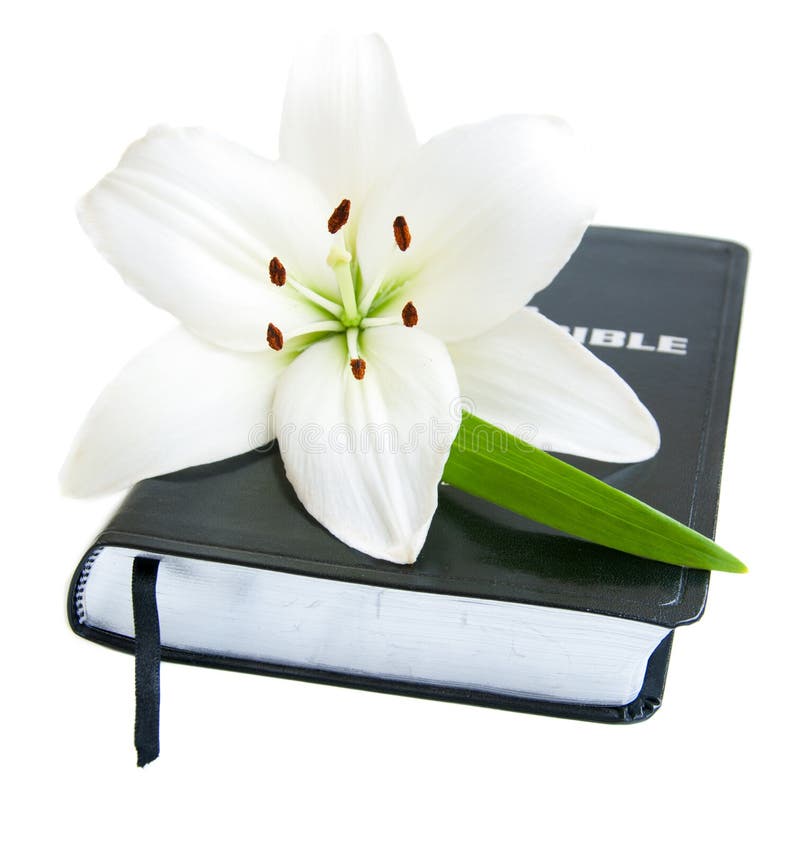 Easter Lily and Bible