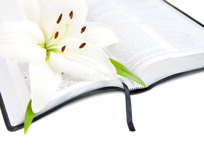 Easter Lily and Bible