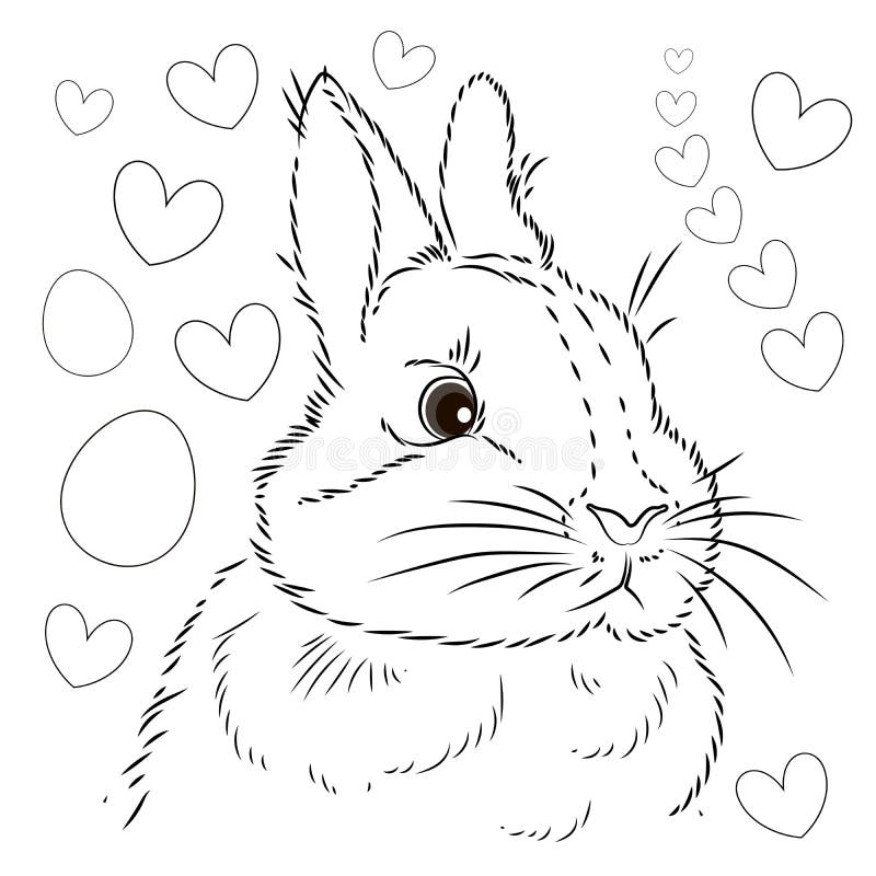 Realistic Rabbit Coloring Pages