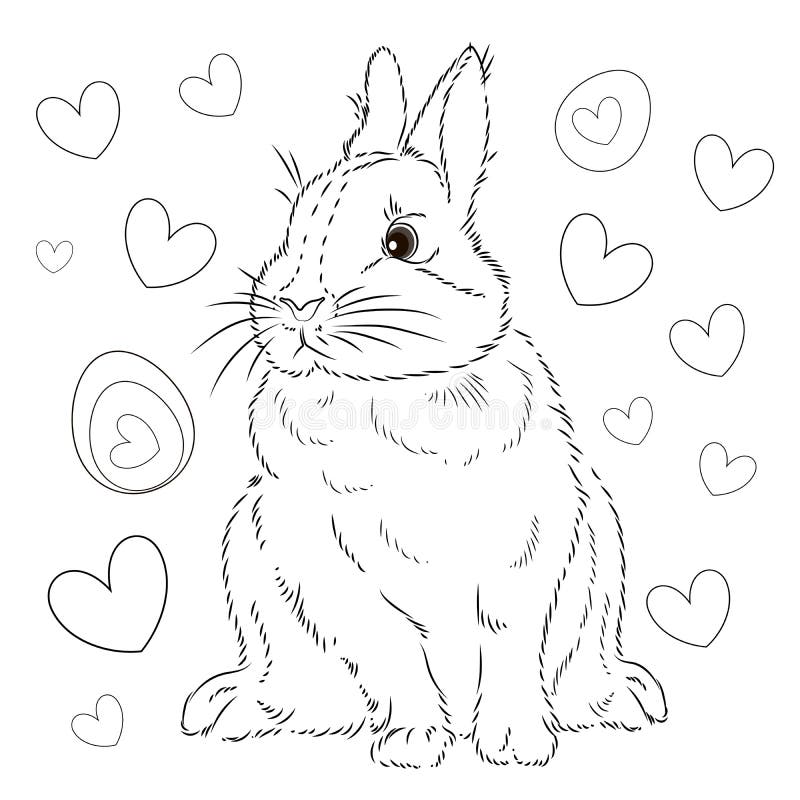 Lionhead Rabbit Coloring Page Free Printable Coloring Pages For Kids ...