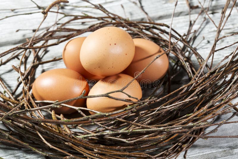 Easter nest, Easter eggs and twigs stock photography Easter nest, Easter eggs and twigs stock photography