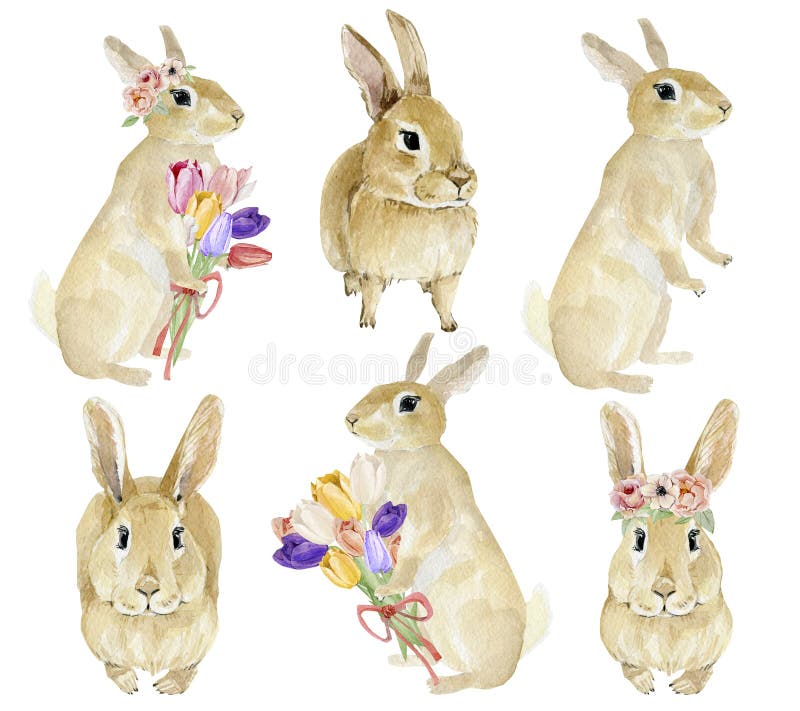Featured image of post Clip Artrabbit 108 999 rabbit clip art images on gograph