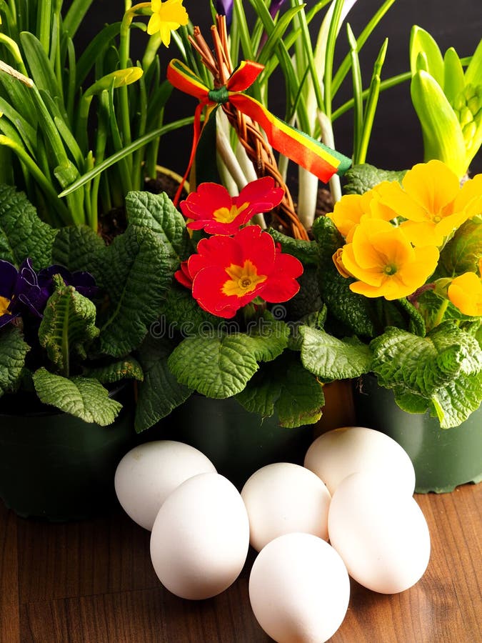 Easter still life royalty free stock photography Easter still life royalty free stock photography
