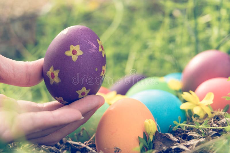 Easter sunday, happy easter, colorful easter eggs hunt holiday decorations easter concept backgrounds with copy space. Gain, grass.