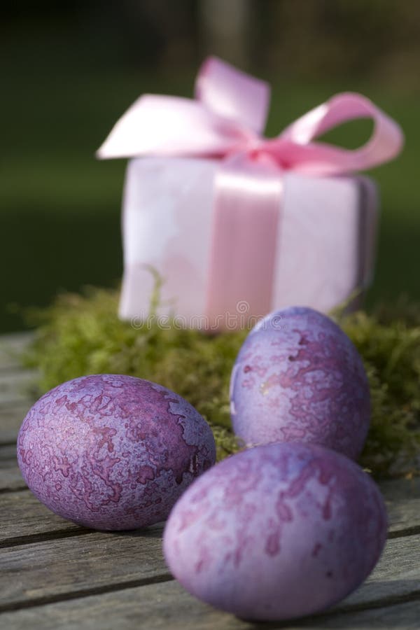 Easter surprise stock photo. Image of surprise, colour 8566710