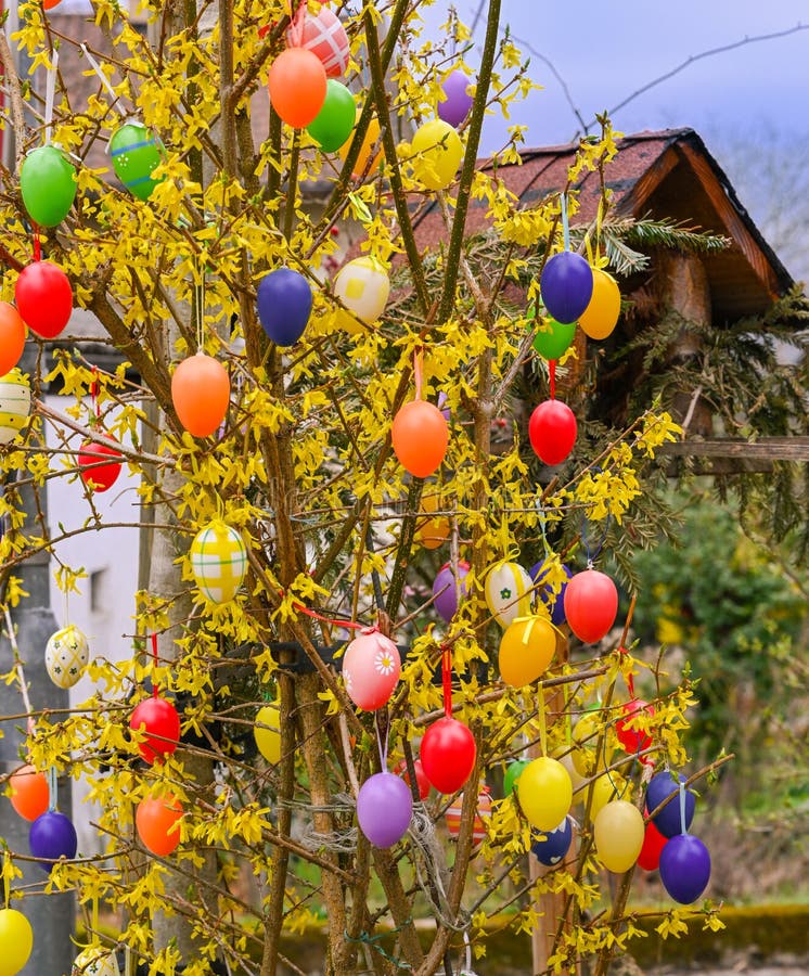 Easter Tree Decorated with Colorful Easter Eggs. Germany, Europe Stock