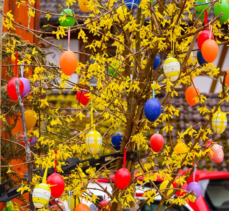 Easter Tree And Quail Eggs On A White Table. Birch Tree Branches