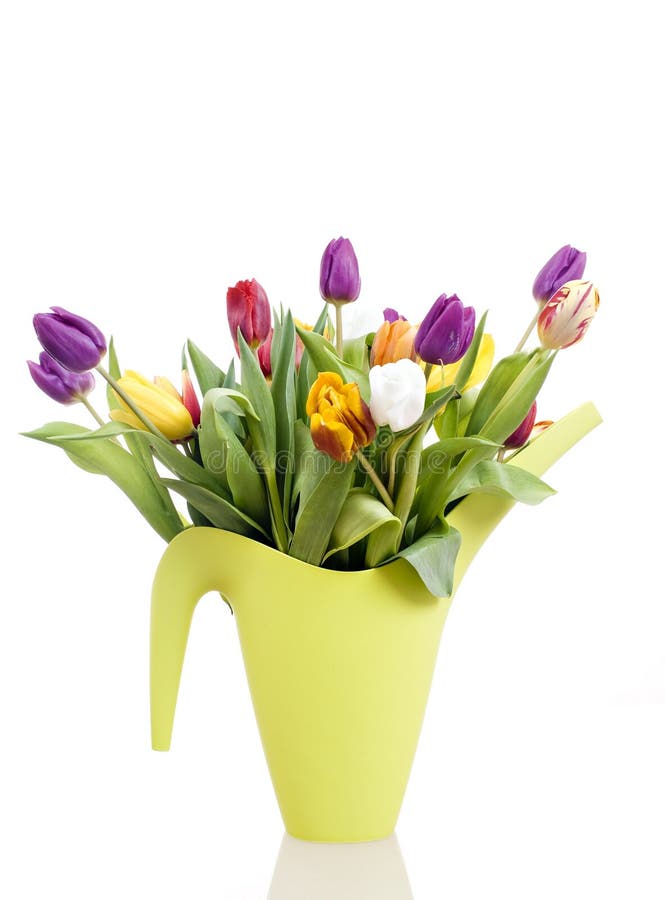Easter tulips stock photo. Image of floral, tulip, reflection 18878390