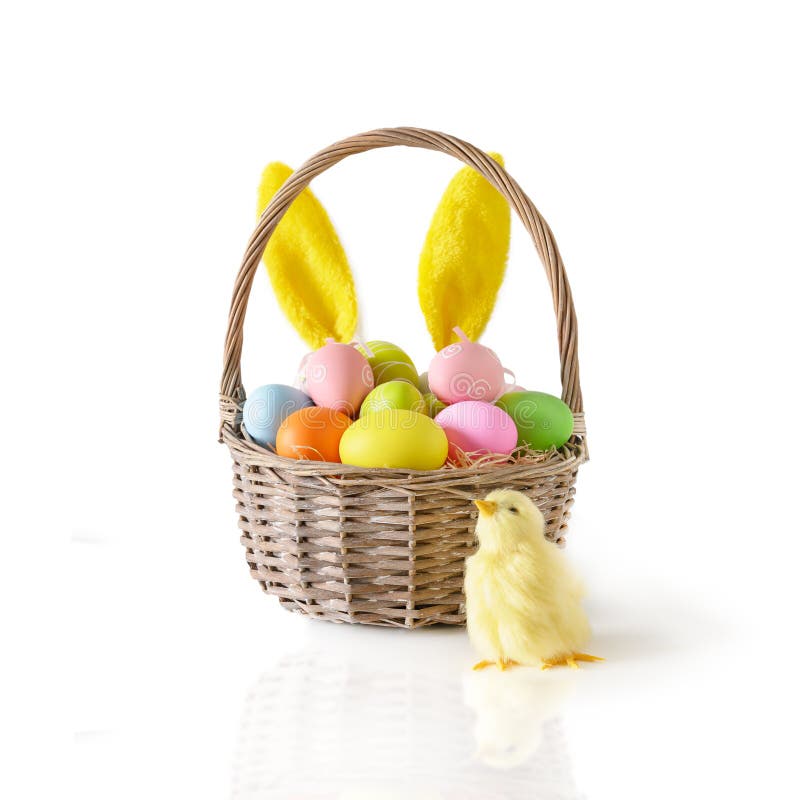 Easter wicker basket with pastel colorful eggs with yellow chick decorated rabbit ears isolated on white.