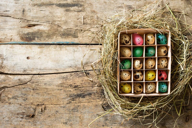 Easter wood background with box of colored eggs inside of hay nest. Easter wood background with box of colored eggs inside of hay nest