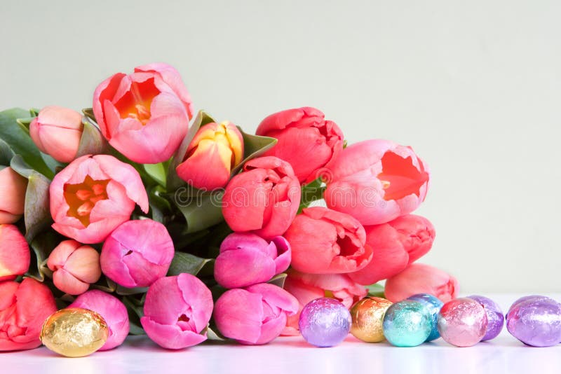 easter äggtulpan royaltyfri fotografi easter äggtulpan royaltyfri fotografi