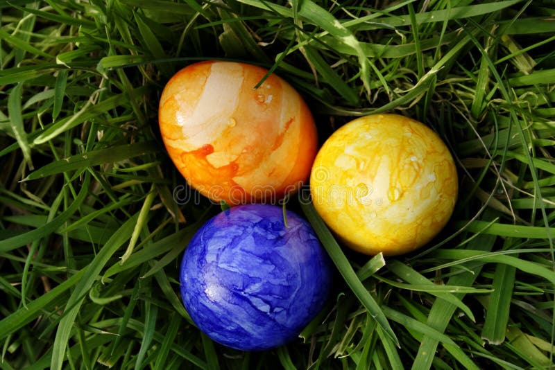 Eastereggs in the grass 4