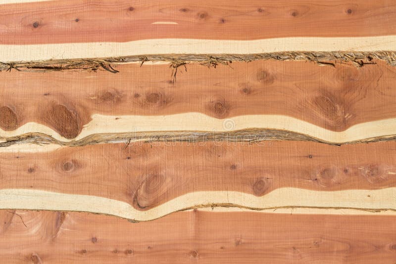 Eastern red cedar bark edge boards