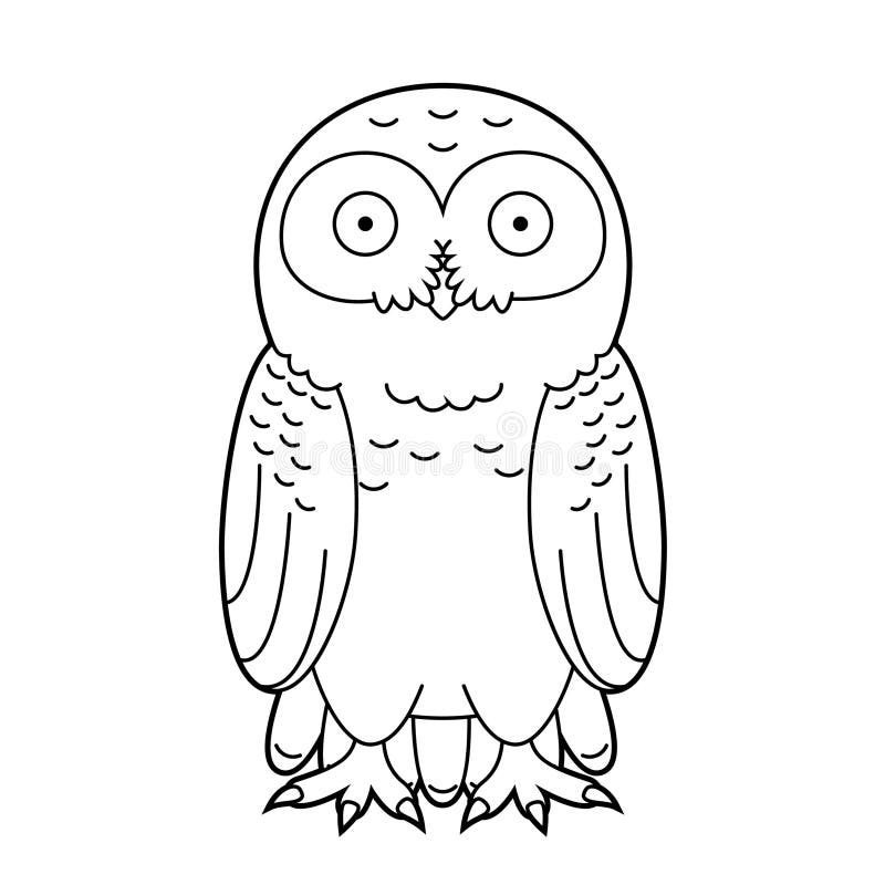 How to Draw an Owl with Free Tutorial Sheet - Chalkola - Chalkola Art Supply