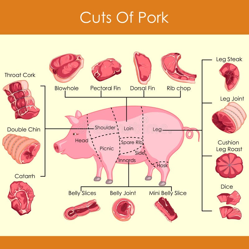 Pork Cuts Diagram Printable Pork Cuts Diagram Printable