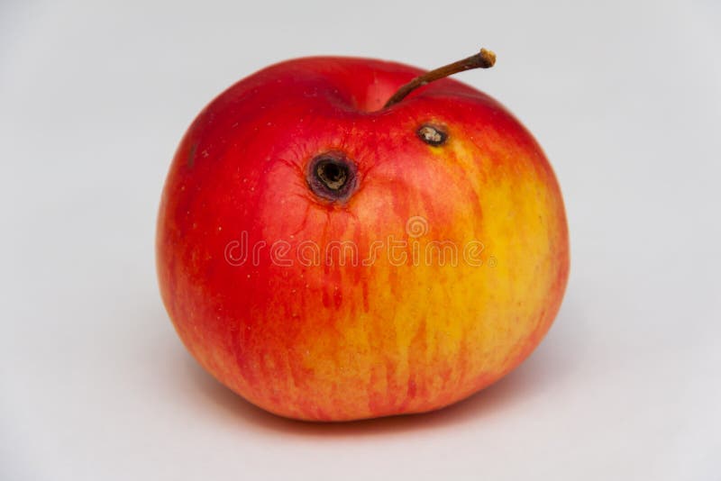 Red apple fruit with a worm hole