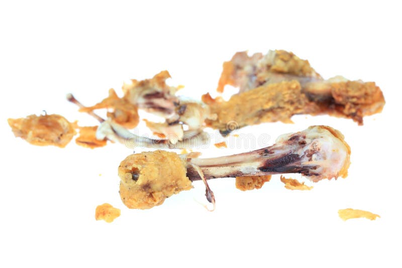 Eaten Drumstick royalty free stock images