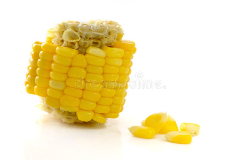 Eating Corn stock photo. Image of vegetable, cross, seed 35437600