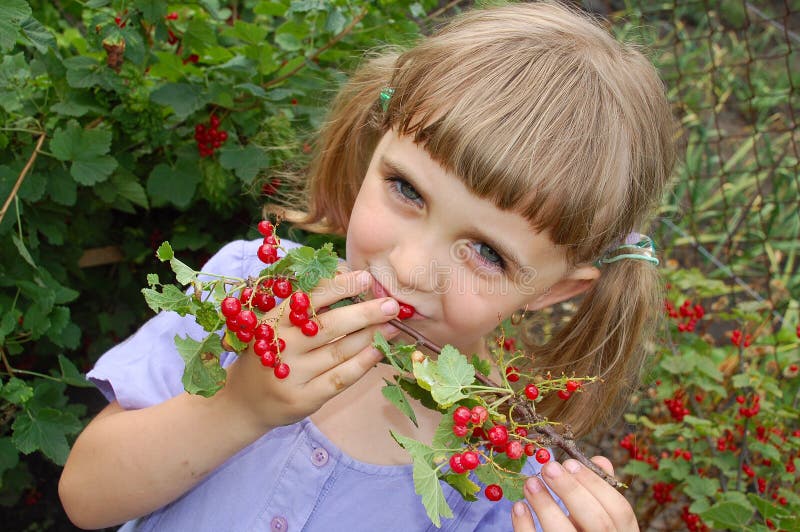 Eating red currant