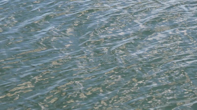 Eau de mer de baie de Penobscot ondulant la vue étroite banque de vidéos