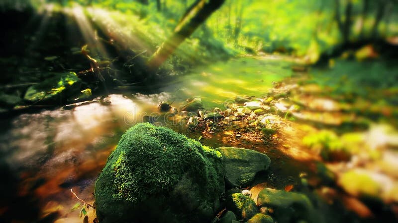 Eau douce pure cascade dans la forêt banque de vidéos