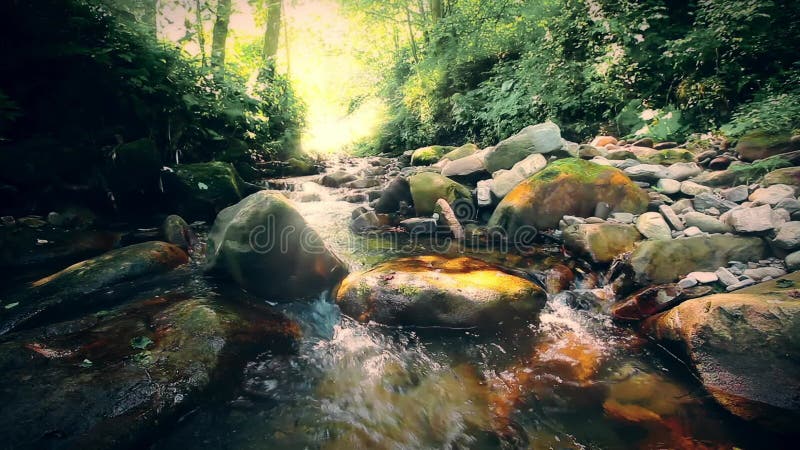 Eau douce pure cascade dans la forêt banque de vidéos