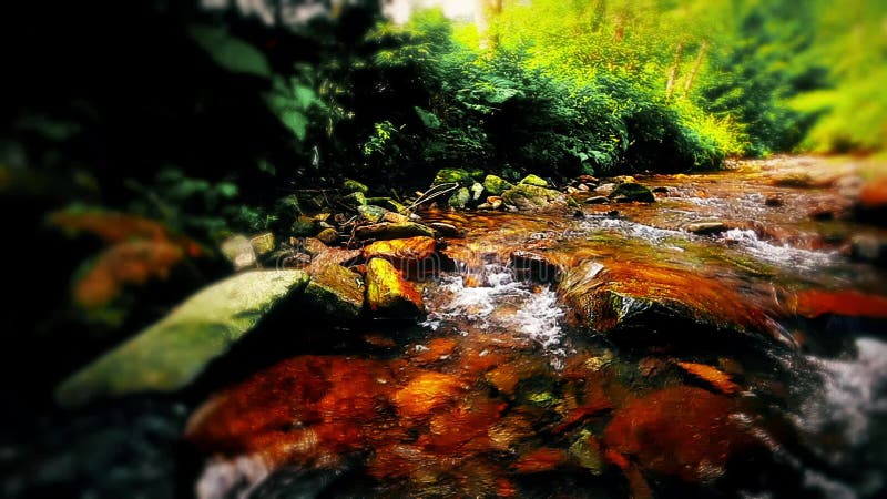 Eau douce pure cascade dans la forêt banque de vidéos