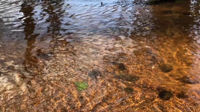 Eau froide claire et rapide banque de vidéos