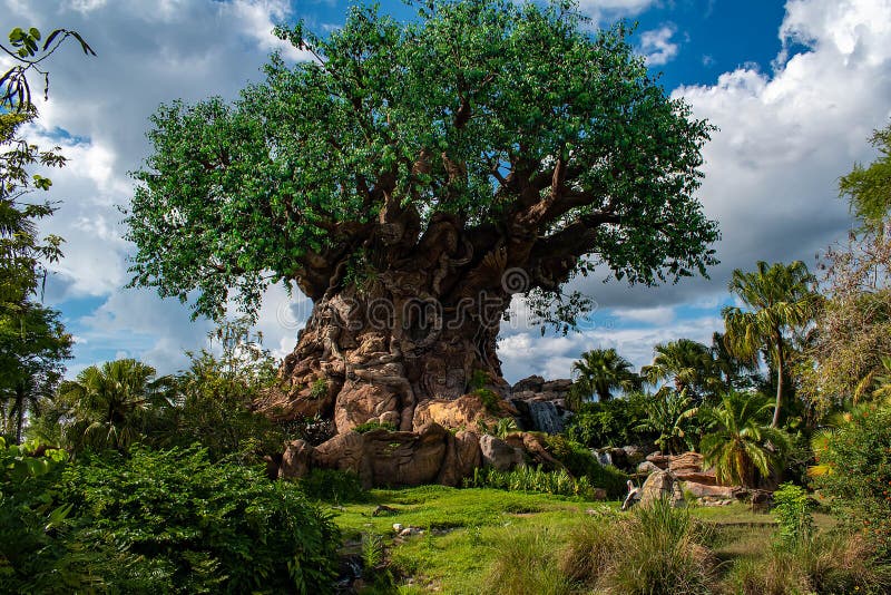 Eautiful widok drzewo życie przy Zwierzęcym królestwem przy Walt Disney World terenem 1 obraz stock