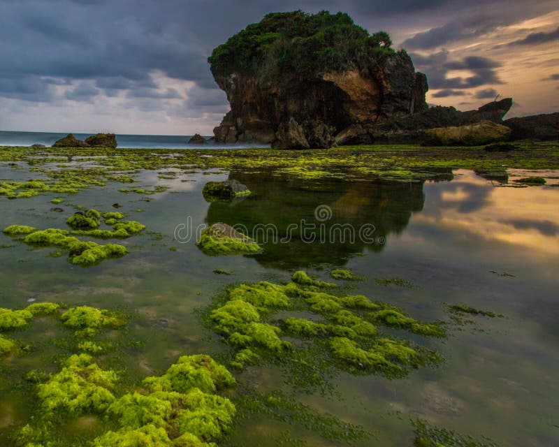 The Ebb and Flow of the Waves on the Beach and the Waves when the Tides