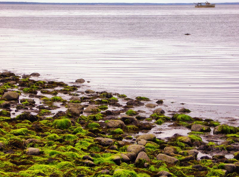 Ebbe am Silber versandet Nationalpark in Milford stockfoto Ebbe am Silber versandet Nationalpark in Milford stockfoto