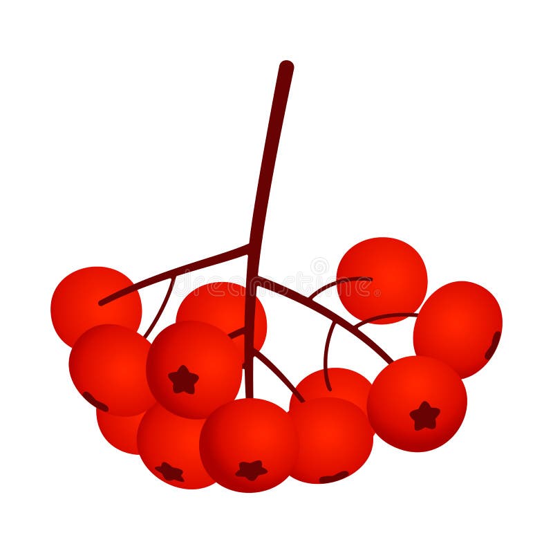 Ebereschenikone, flache Art stock abbildung Ebereschenikone, flache Art stock abbildung