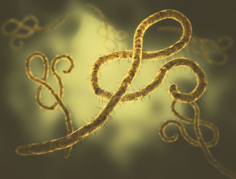  Ebola  Virus Isolated On White Background Stock 