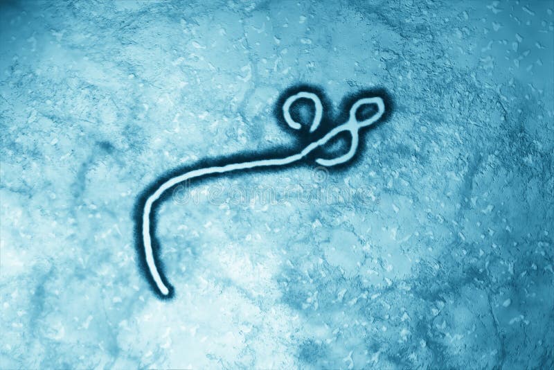 Ebola Virus vector illustration