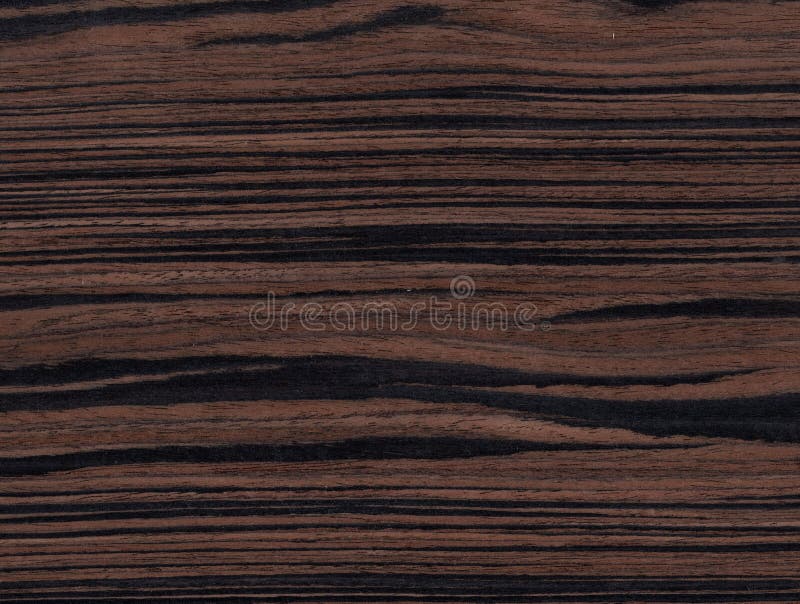 Ebony, Dark Brown Wood Wall Material Burr Surface Texture Background Pattern Abstract Wooden, Top View Stock Photo - Image of antique, finish: 196381506 Ebony, Dark Brown Wood Wall Material Burr Surface Texture Background Pattern Abstract Wooden, Top View Stock Photo - Image of antique, finish: 196381506