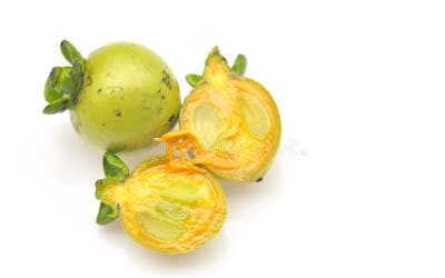 13,771 Ebony Backshots Stock Photos - Free & Royalty-Free Stock Photos