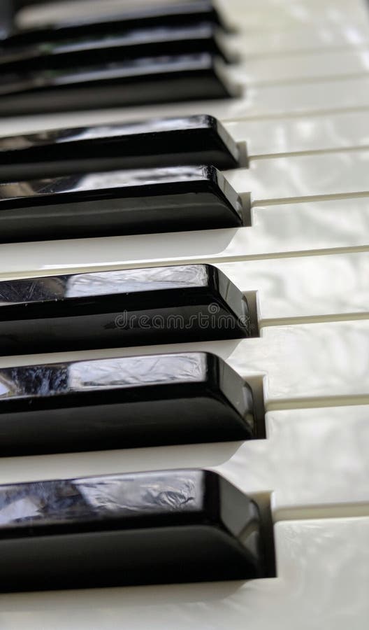 Ebony and ivory stock image. Image of chord, keyboard 155163001