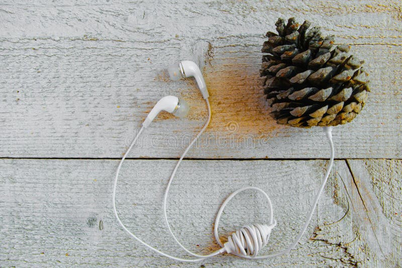 Eccentric way to listen music. Concepts - connection into the nature, different perspective to use the technology, imagination, royalty free stock photography Eccentric way to listen music. Concepts - connection into the nature, different perspective to use the technology, imagination, royalty free stock photography