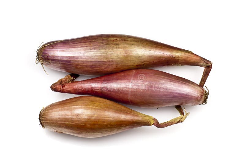 Echalion Shallots Stock Photos - Free & Royalty-Free Stock Photos from  Dreamstime