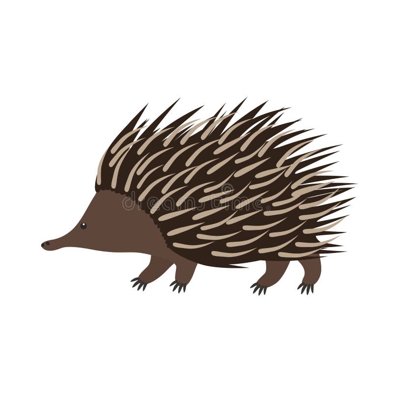 Echidna Flache Karikaturillustration lizenzfreie abbildung Echidna Flache Karikaturillustration lizenzfreie abbildung
