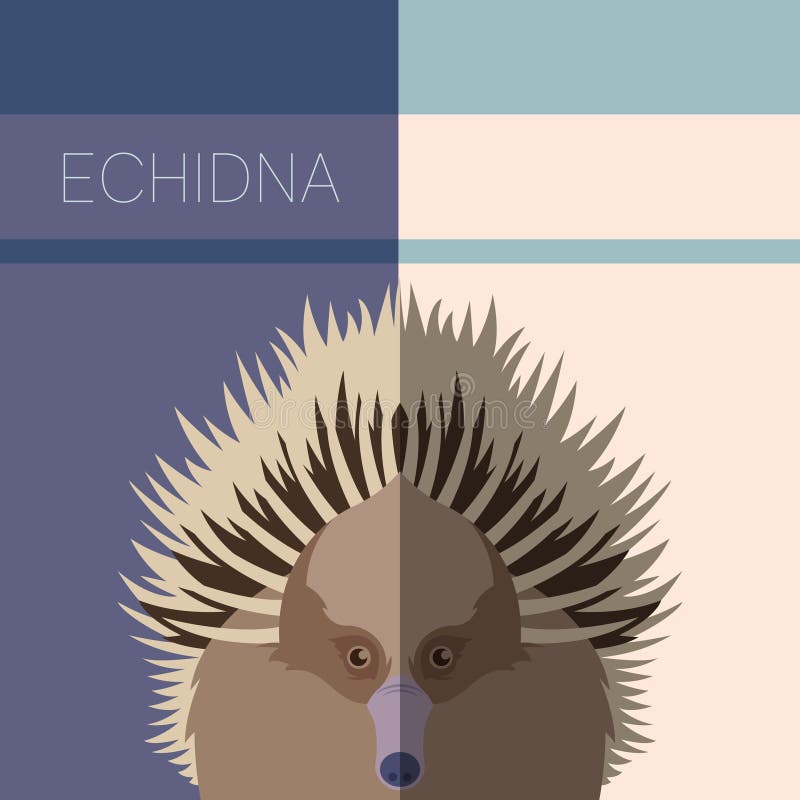 Echidna-flache Postkarte vektor abbildung Echidna-flache Postkarte vektor abbildung