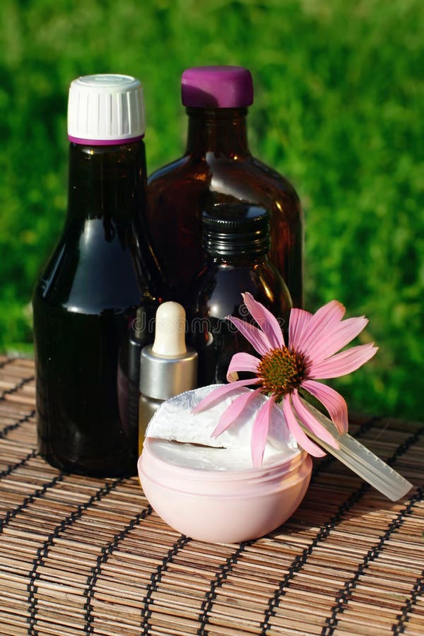 Echinacea alternative medicine