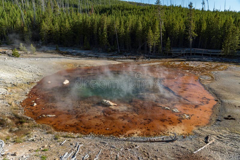 Echinus geyser gorąca wiosna w czarnej zlewisku piasku w dorzeczu norris geyser w żółtym parku narodowym zdjęcia stock