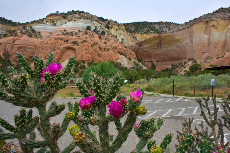 Echo Amphitheater in the Carson National Forest in New Mexico