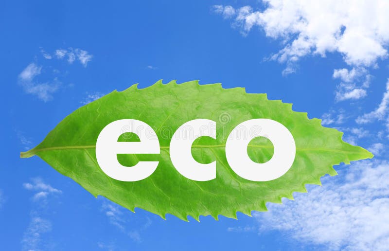 Eco imagens de stock