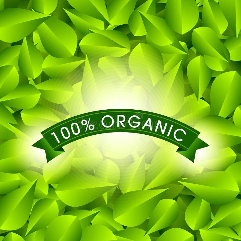 Eco Friendly Label. Green Leaves. Illustration. Stock Vector