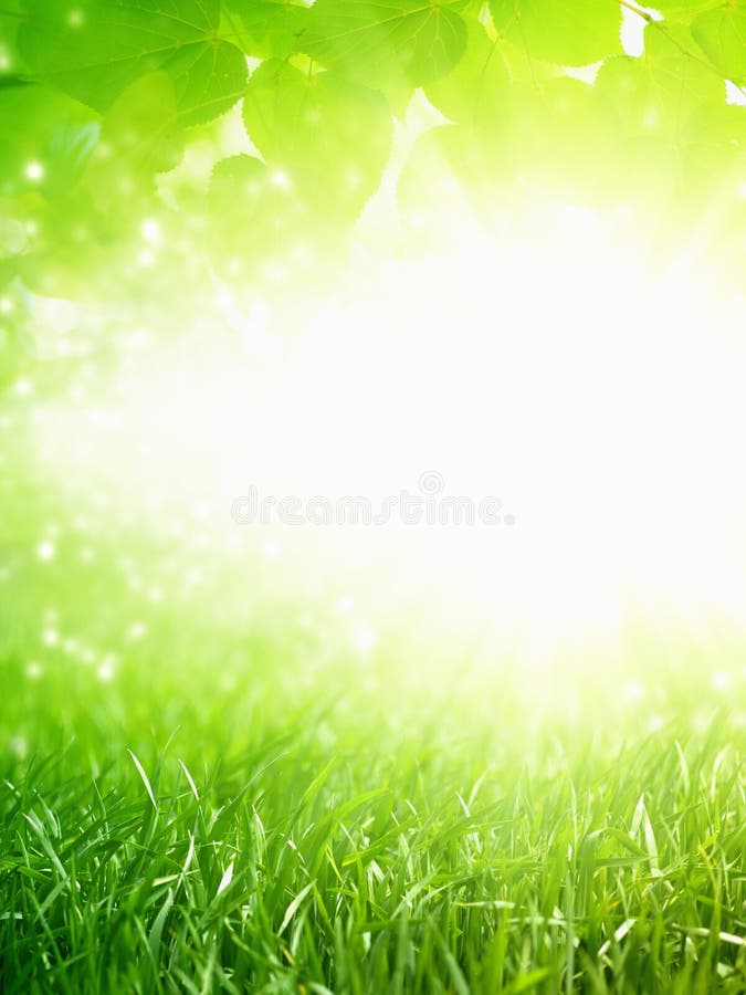 Eco green background