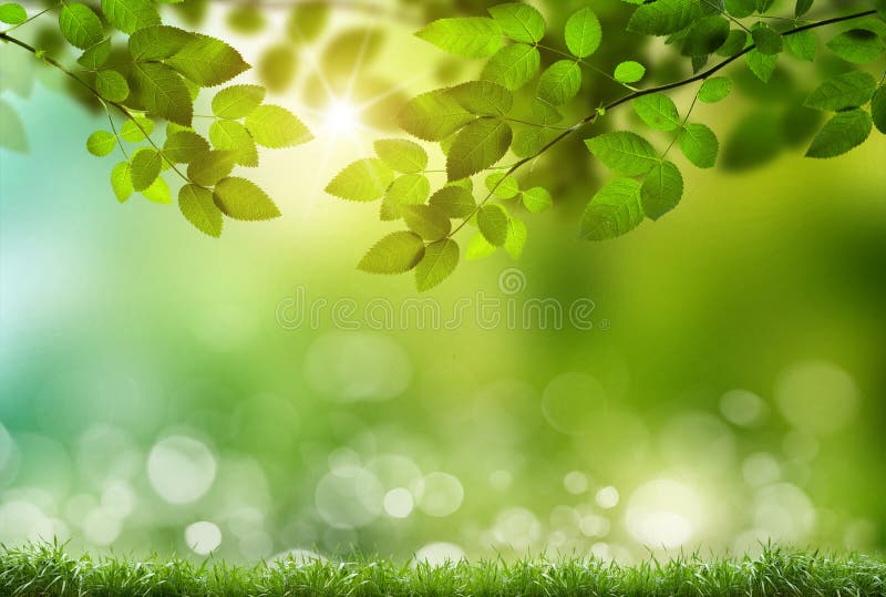 Eco natura fotografia stock