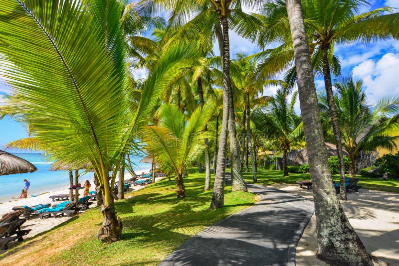 Eco seaside resort with coconut garden. Grand-Baie, Mauritius - Jan 4, 2017. Eco seaside resort with coconut garden on Mauritius Island. Mauritius is one of the royalty free stock photo Eco seaside resort with coconut garden. Grand-Baie, Mauritius - Jan 4, 2017. Eco seaside resort with coconut garden on Mauritius Island. Mauritius is one of the royalty free stock photo